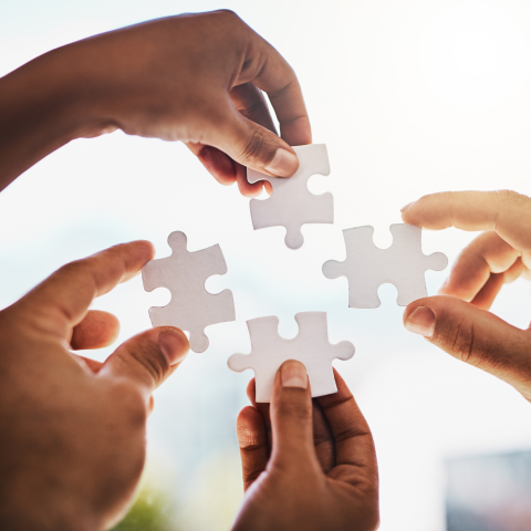 Four hands holding single puzzle pieces